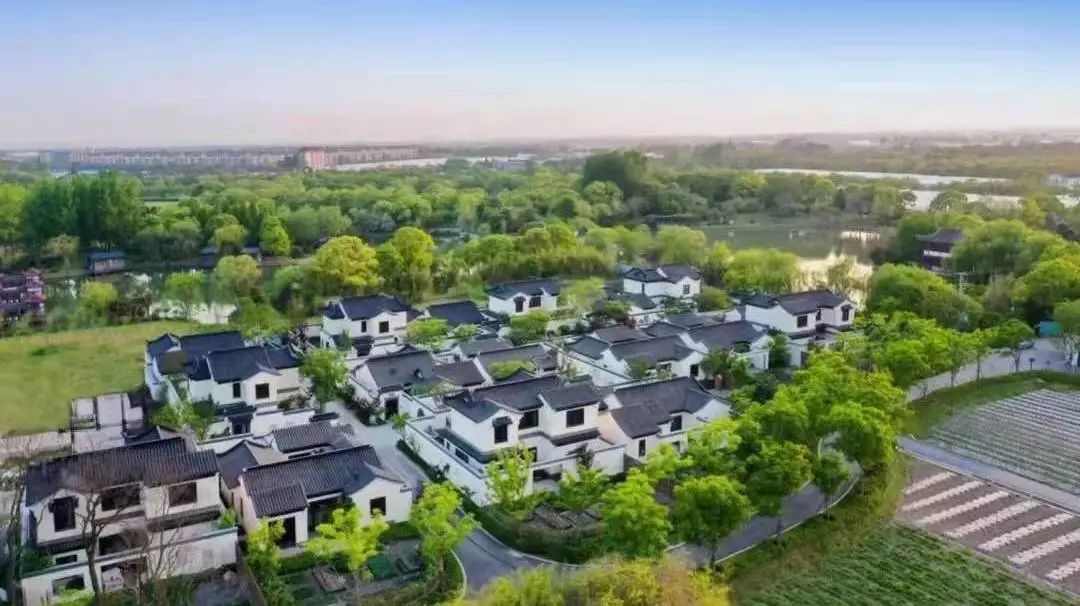 1650611812873559UWSi.jpg 640 (3).jpg